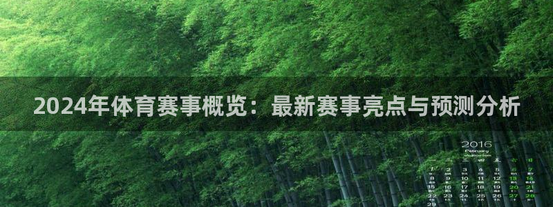2024年体育赛事概览：最新赛事亮点与预测分析