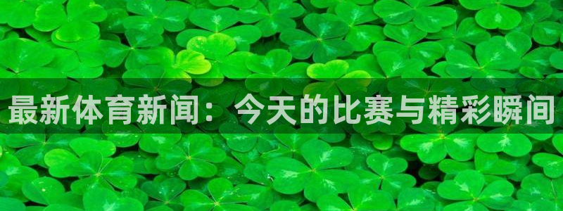 最新体育新闻：今天的比赛与精彩瞬间