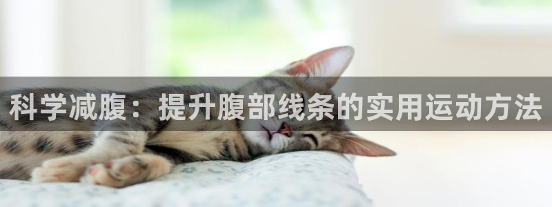 科学减腹：提升腹部线条的实用运动方法